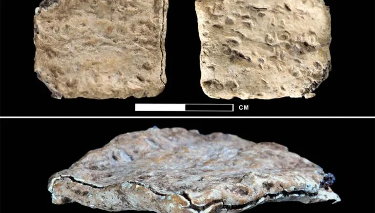 hebrew amulet from joshuas altar 1 768x540 1 Zoals we deze week lezen, werden op de berg Gerizim de zegeningen en op de Ebal de vervloekingen uitgesproken (Deuteronomium 27:11-26). Op de Ebal werd enkele jaren geleden een loden amulet gevonden, dat bij ontcijfering een vloek bevat.