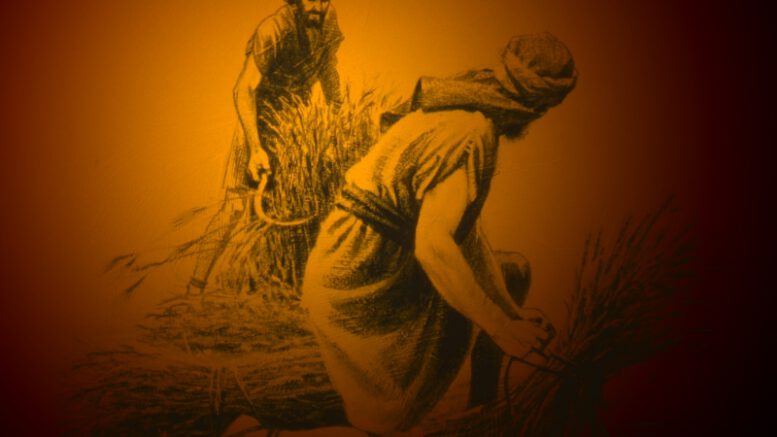 206 01 0147 TopicalBkg harvest1 Lees ook: Tacheles met Aviel: ‘Wantrouwen jegens Arabieren neemt toe!’