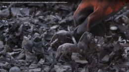 Archeologie slachting 7 oct Gewoonlijk graven archeologen van de Israel Antiquities Authority naar restanten van duizenden jaren oude beschavingen. Deze weken werken archeo­logen mee aan de zoektocht naar menselijke resten, na de massa­moord die Hamas-strijders op 7 oktober uitvoerden.