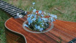 brown acoustic guitar with white and green flower on top