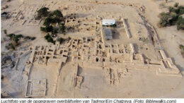 Tadmor We gaan deze week kennismaken met de ruïnes van Tadmor of Tamar. Er zijn meerdere plaatsen met die naam, in Syrië, de VS en Nieuw Zeeland. Maar ik bedoel het Bijbelse Tadmor, 35 km ten zuiden van de Dode Zee, aan de weg richting Eilat.