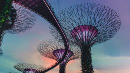 photo of Gardens by the Bay, Singapore