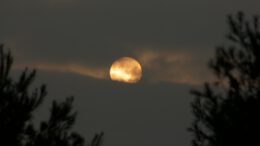full moon covered with clouds