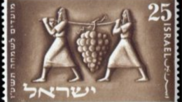 Numeri13Verspieders Om een operatie goed te doen slagen zijn geloof in het doel en eens­gezind­heid vereist. Dat bemerk­ten de Israë­lie­ten na de terug­keer van de twaalf verspie­ders. Tien van hen zaaiden ongeloof, en oogstten 38 jaar zwerven in de wildernis.