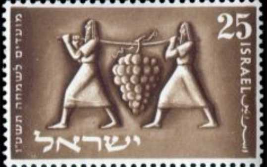 Numeri13Verspieders Om een operatie goed te doen slagen zijn geloof in het doel en eens­gezind­heid vereist. Dat bemerk­ten de Israë­lie­ten na de terug­keer van de twaalf verspie­ders. Tien van hen zaaiden ongeloof, en oogstten 38 jaar zwerven in de wildernis.