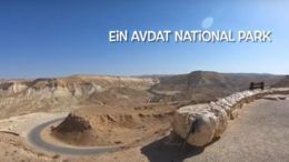 Ein Avdat National Park Terwijl we vorige week de gerestaureerde restanten van de oude plaats Avdat bekeken, bezoeken we nu het natuurpark Ein Avdat, een oase met een waterval en een canyon of kloof in het hart van de Negev woestijn, ten zuiden van kibboets Sde Boker.