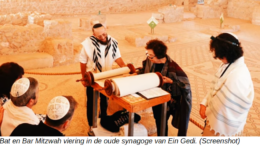 Ein Gedi synagoge bat mitzwah.png Niet alleen de oase En Gedi met zijn rotspartijen, watervallen en meertjes, die we vorige week bekeken is de moeite waard. In het Nationaal Park Ein Gedi zijn ook de restanten te bewonderen van een synagoge uit de derde eeuw.