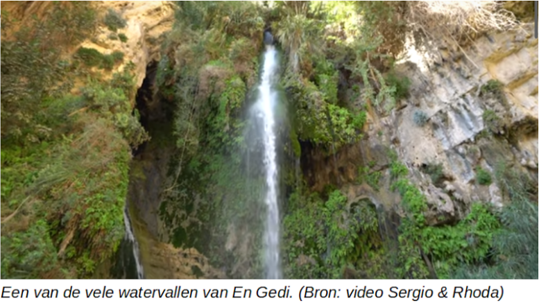 EnGedi Ein Gedi (spreek uit: en gèdi) is een oase met watervallen en meertjes, een archeologische vindplaats en een natuurreservaat, ten westen van de Dode Zee, in de buurt van Massada en Qumran. De naam betekent 'bron van het geitje'.