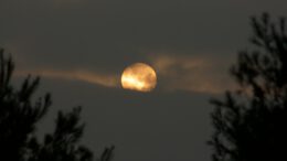 full moon covered with clouds