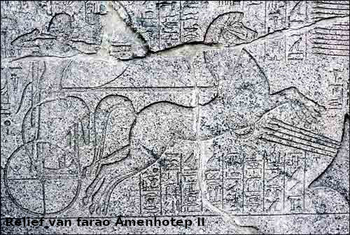 Amenhotep2relief Wie was de farao in de tijd van Moses en de uittocht uit Egypte? Er worden diverse namen genoemd, afhan­ke­lijk van de toegepaste chronologie. Op basis van de Bijbel en citaten in de werken van de Joods-Romeinse geschiedschrijver Flavius Josephus denkt archeoloog Joel Kramer dat het Amenhotep II moet zijn geweest.