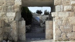 Leerlooierspoort De Leerlooierspoort dateert uit de twaalfde eeuw, de periode van de Kruis­vaar­ders. Suleiman de Grote liet later de poort dichtmetselen toen hij de huidige muren, poorten en torens van de Oude Stad bouwde.