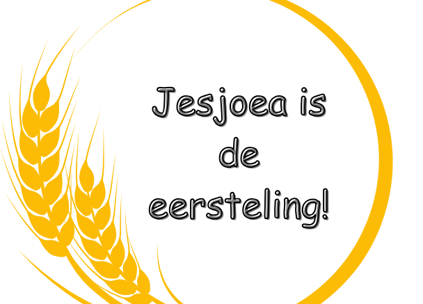 Op weg naar Shavuot basisdocument Het werkboek is verdeeld op denkniveau van groep 1-3; groep 4 & 5; en groep 6-8.