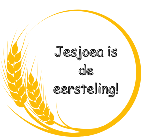 Messiaans werkboek voor gezinnen: Op weg naar Sjavoe’ot