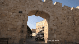 NieuwePoort De Nieuwe Poort is gebouwd in 1887 of 1889, en is daarmee de nieuwste poort van Jeruzalem. In het Hebreeuws heet hij השער החדש HaSha'ar HeChadash, en in het Arabisch الباب الجديد Al-Bab al-Jedid. Hij bevindt zich aan de westkant van de noorde­lijke muur.