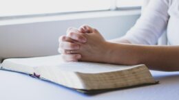 prayer, bible, christian, folded hands, religion, god, book, faith, christianity, religious, holy, praying, spiritual, reading, person, believe, hope, hand, prayer, prayer, prayer, prayer, prayer, bible, bible, bible, christian, god, faith