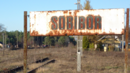 Screenshot 2021 02 22 at 13.46.36 e1776614498487 Holocaustherdenkingen staan meestal in het teken van concentratiekamp Auschwitz-Birkenau. Maar specifiek voor de vervolging van Joodse Nederlanders is vernietigingskamp Sobibor ook belangrijk. Stephan Lehnstaedt schreef er een boek over. Daarnaast heeft hij een verkorte versie uitgebracht. Wat komt daarin aan de orde?