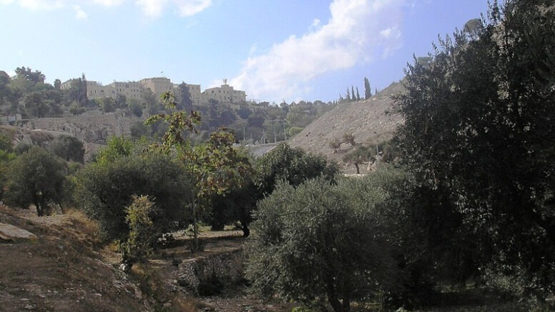 Valley of Hinom PA180090 Een beruchte plaats in Jeruzalem was het Dal van (de zoon van) Hinnom. Dit smalle rotsachtige dal is het laagste punt van Jeruzalem, ten zuiden en zuidwesten van de stad, en het is ook in moreel opzicht het laagste punt.